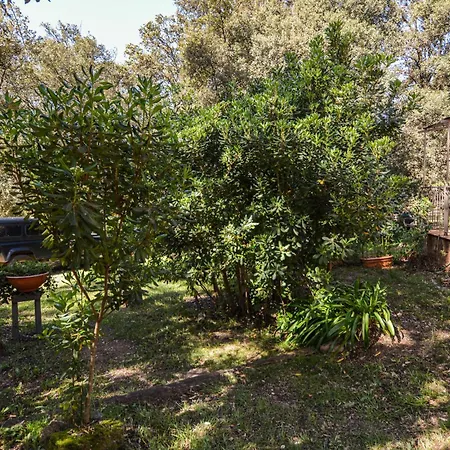 Cozy In Piscia Rossa With Wifi * Afa